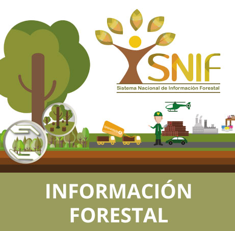 Indicadores Ambientales